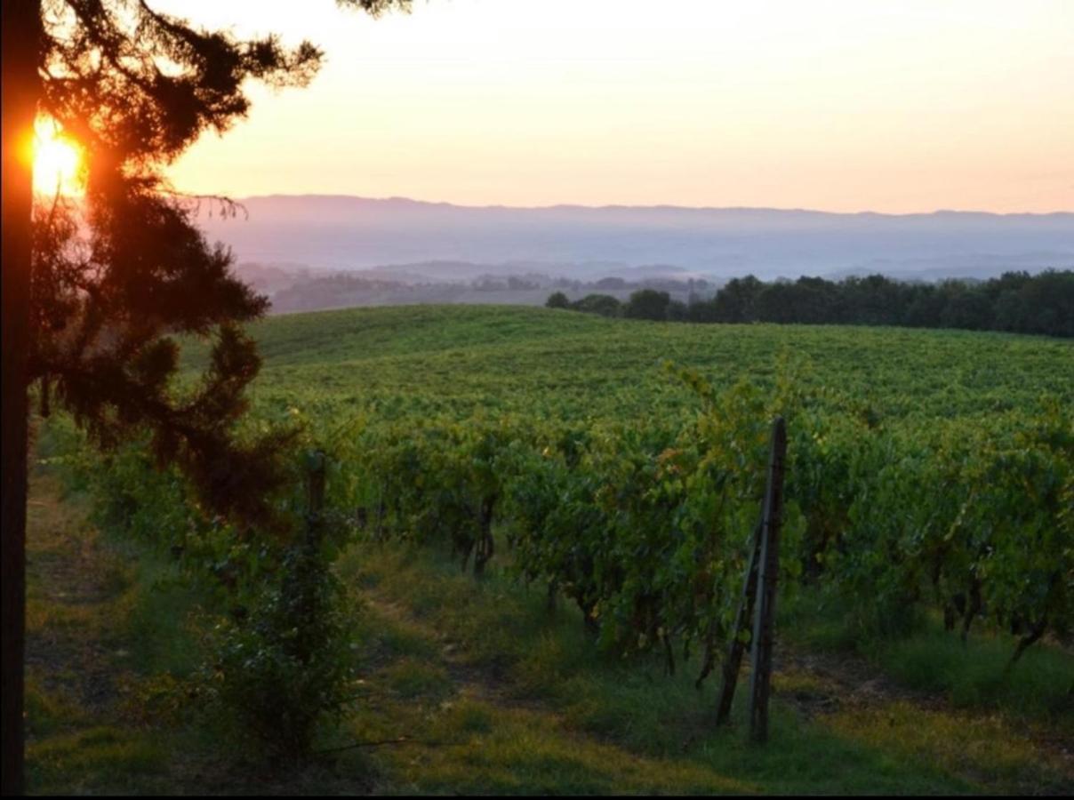 Agriturismo Fattoria Il Piano - Appartamento Focolare - ซานจีมิญญาโน ภายนอก รูปภาพ