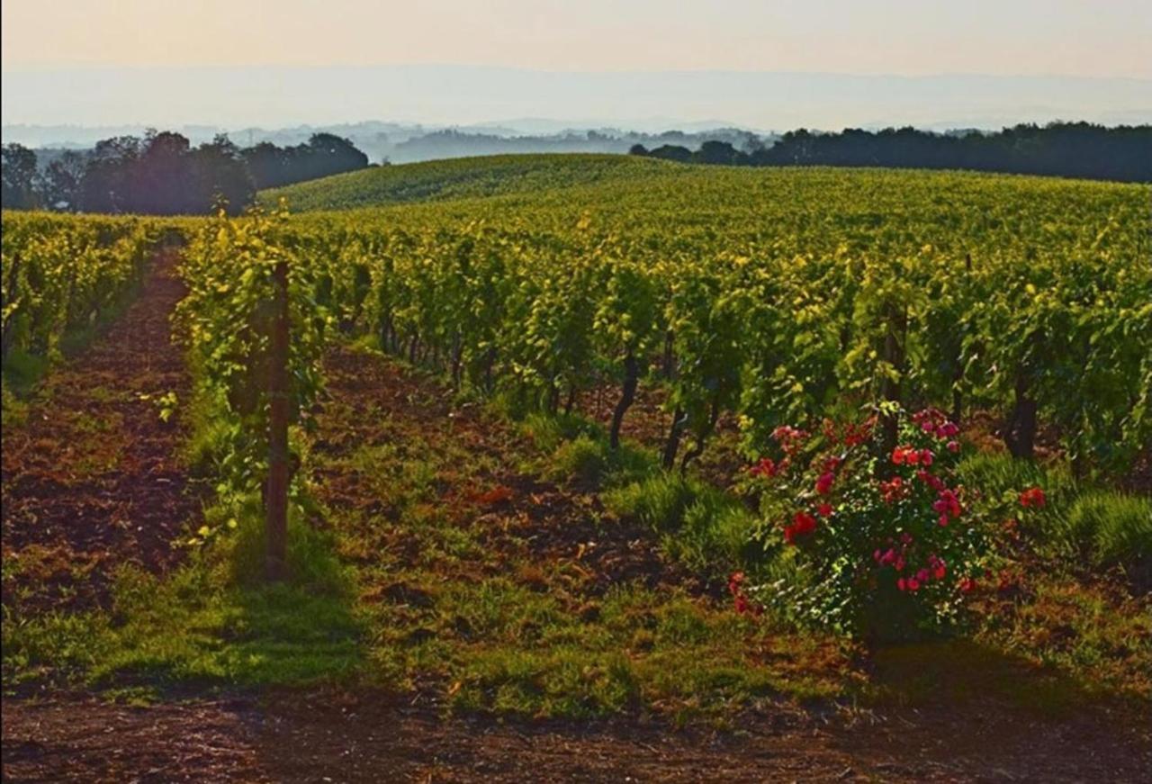 Agriturismo Fattoria Il Piano - Appartamento Focolare - ซานจีมิญญาโน ภายนอก รูปภาพ