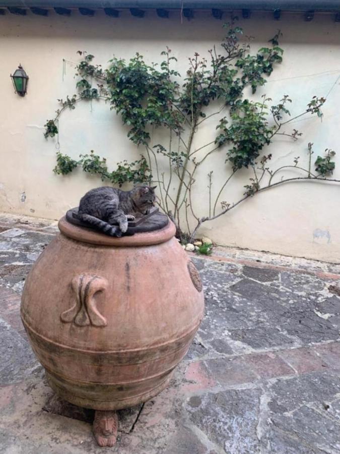 Agriturismo Fattoria Il Piano - Appartamento Focolare - ซานจีมิญญาโน ภายนอก รูปภาพ
