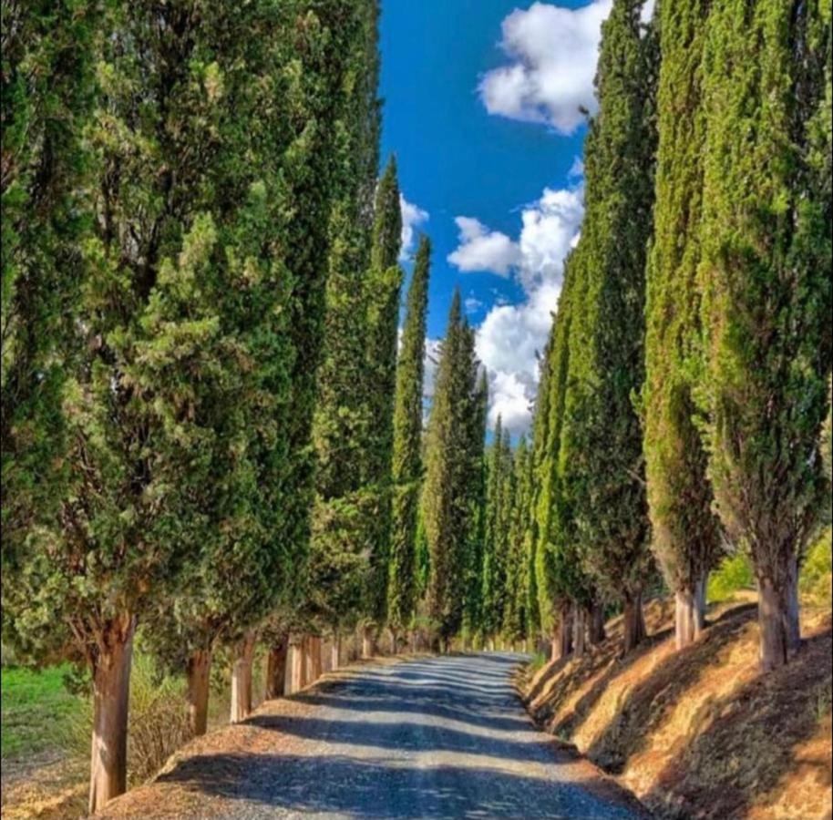 Agriturismo Fattoria Il Piano - Appartamento Focolare - ซานจีมิญญาโน ภายนอก รูปภาพ