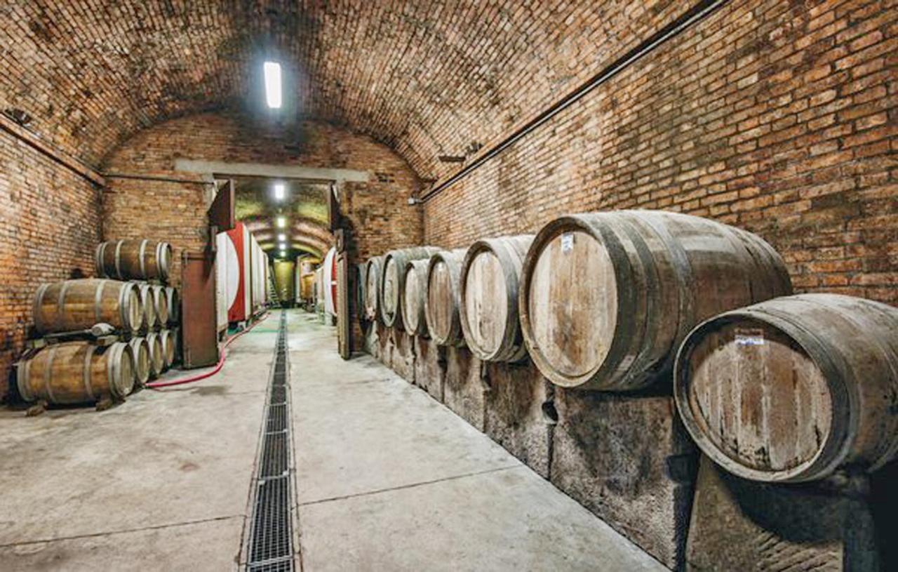 Agriturismo Fattoria Il Piano - Appartamento Focolare - ซานจีมิญญาโน ภายนอก รูปภาพ